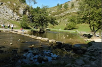 Stepping Stones